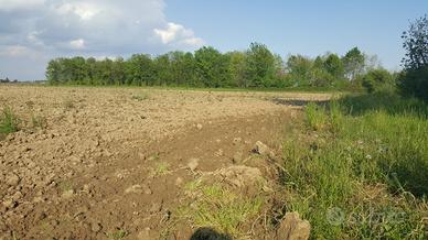 Terreno agricolo di 75.000 mq a Mogliano Veneto