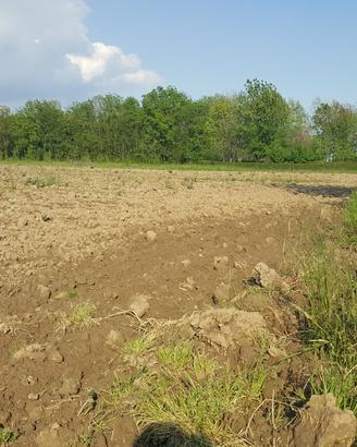 Terreno agricolo di 75.000 mq a Mogliano Veneto