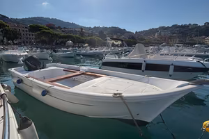 Smeralda 540 + Mercury 30CV (2018)