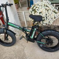 Bicicletta elettrica 750 fat bike