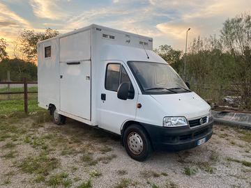 VAN TRASPORTO 2 cavalli