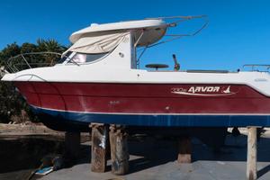 Quicksilve Avor 230