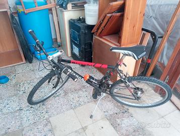 Bicicletta telaio Bianchi