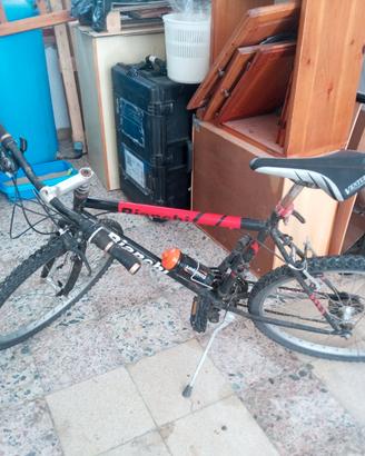 Bicicletta telaio Bianchi