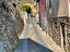 Immagine 24