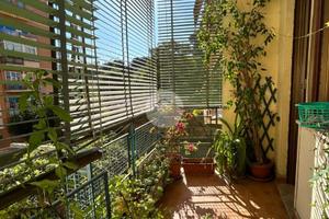 2 LOCALI A ROMA