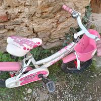 Bicicletta raggio 14