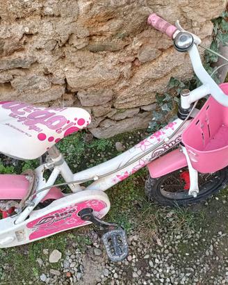 Bicicletta raggio 14