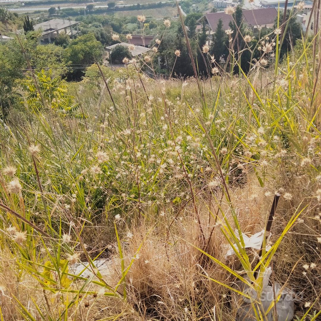 Terreno edificabile di 1100 mq - Vista 5