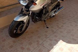 Yamaha TDM 900