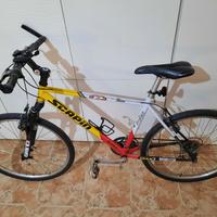 bicicletta da corsa Scapin