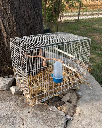 2 gabbie per uccelli