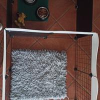 cuccia cane da interno