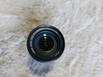 Canon EF-S 18-135mm f/3.5-5.6 IS STM 