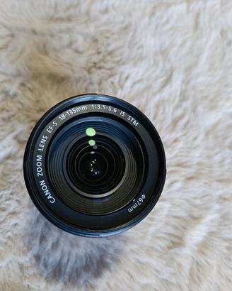 Canon EF-S 18-135mm f/3.5-5.6 IS STM 