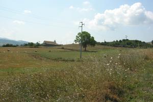 Terreno e fabbricato in San Fele (PZ)