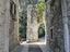 Immagine 5