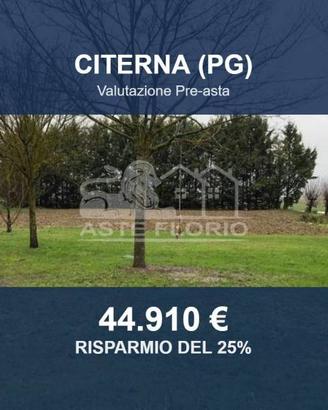 Immobile in asta di 24750 m² a Citerna
