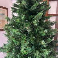 Albero natale