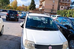 Panda 1200   2011