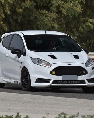 Fiesta st 180 Mk7 1600