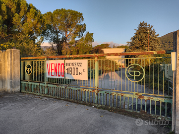 Capannone/magazzino ampia metratura