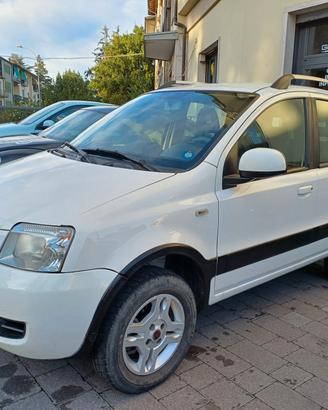 Fiat Panda 1.3 MJT 16V DPF 4x4 Climbing