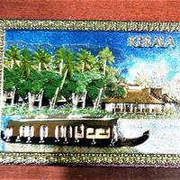 2 calamite turistiche per frigoriferi del kerala-i