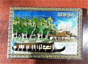 2 calamite turistiche per frigoriferi del kerala-i