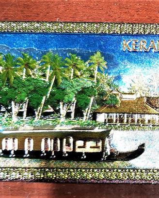 2 calamite turistiche per frigoriferi del kerala-i