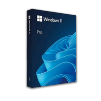 Windows 11 Pro (Retail)
