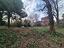 Immagine 18