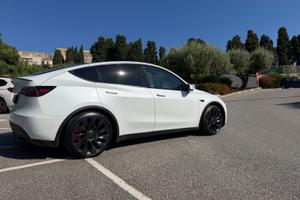 Tesla Model Y Performance • Perfetto Stato