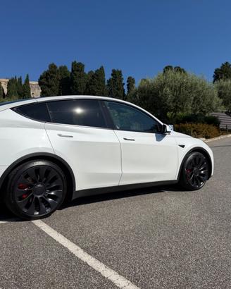 Tesla Model Y Performance • Perfetto Stato
