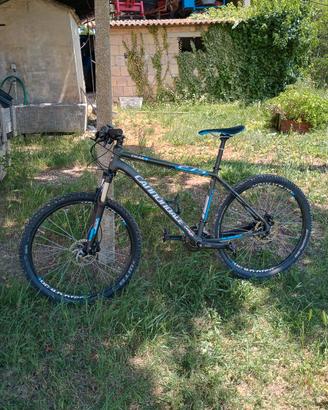 MTB cannondale