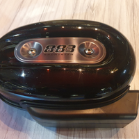 Cassa Filtro Glitter Harley-Davidson Sportster 883