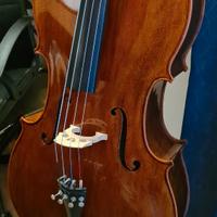 Violoncello