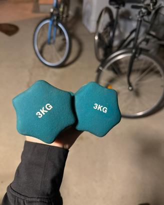Manubri 3kg