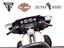Immagine 13