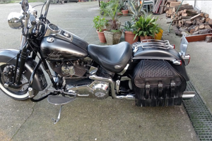 Heritage softair springer