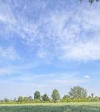 Immobile in asta di 45460 m² a Remedello