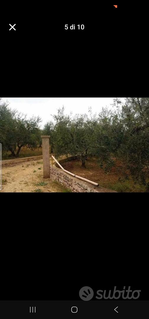 terreno agricolo - Vista 4
