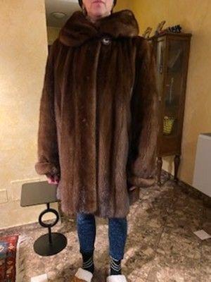 visone femmina