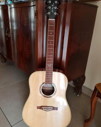 Chitarra acustica eko nxt + custodia