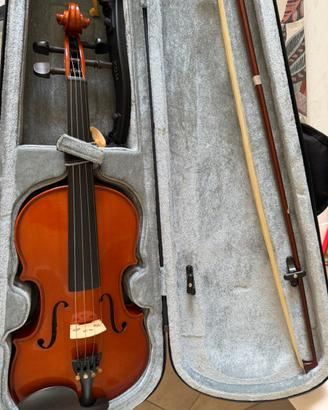 Violino