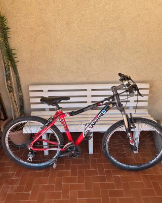 Bici MTB e Touring