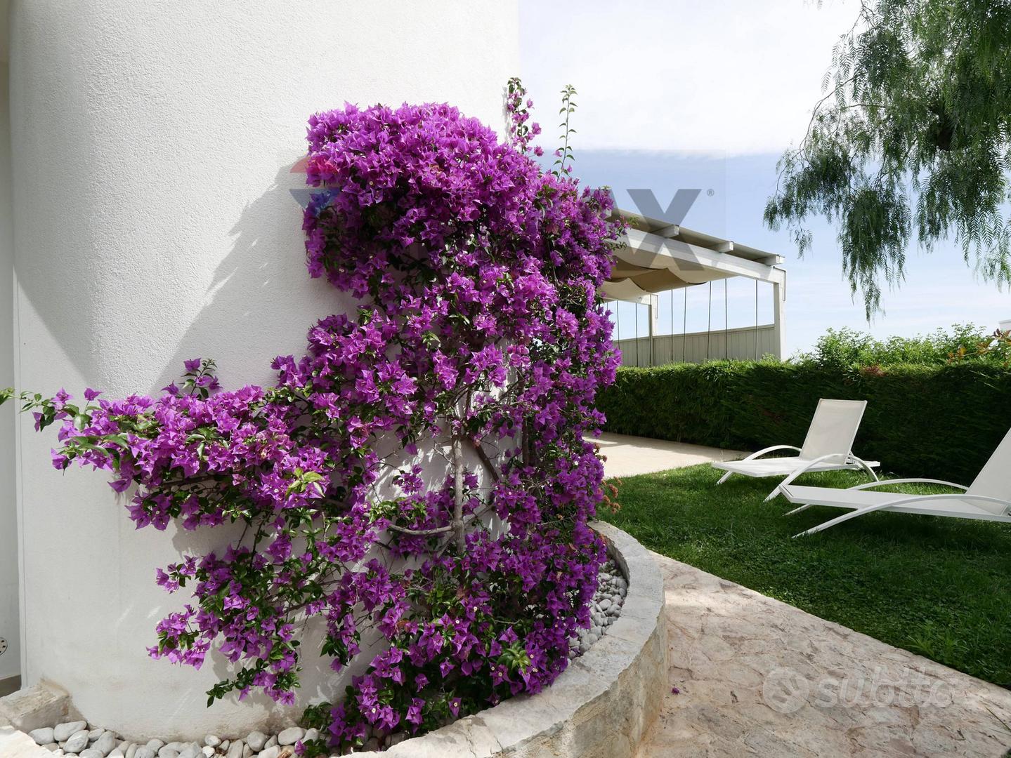 Villa singola - Polignano a Mare - Vista 5