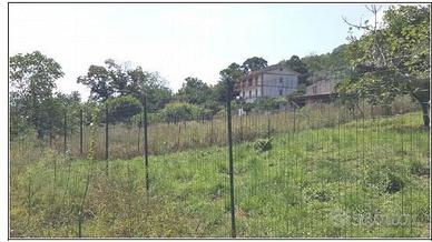 Terreno 1.106 mq con progetto residenziale – Licus