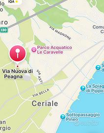 Ceriale ideale trasfertista per lungo periodo