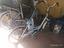 Immagine 4